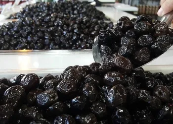 Marmarabirlik ürün alım fiyatlarını açıkladı