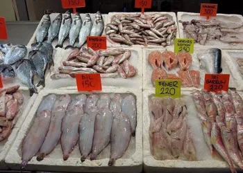 Balık fiyatları yarı yarıya düştü