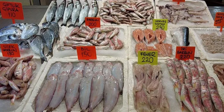 Balık fiyatları yarı yarıya düştü