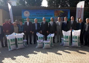 Bursa’da çiftçilere buğday tohumu dağıtıldı