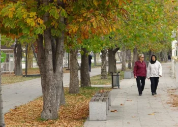 Sonbahar yapraklarının süpürülmesi yasaklandı
