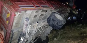 Odun yüklü kamyonet devrildi