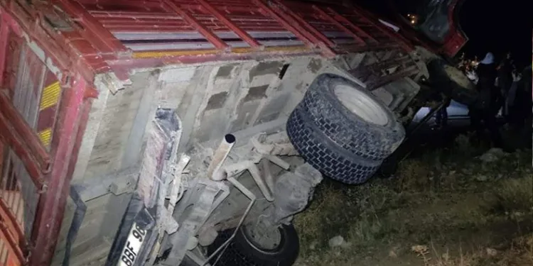 Odun yüklü kamyonet devrildi