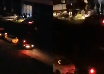 Tonlarca uyuşturucu madde ele geçirildi