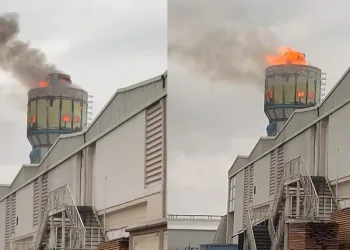 Fabrikanın talaş silosunda yangın