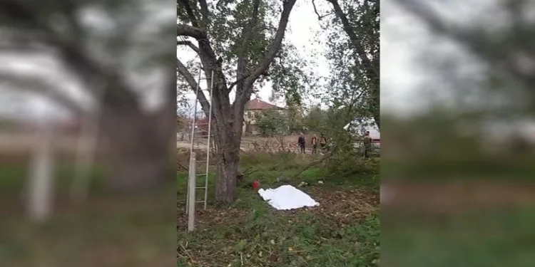 Feci kaza: kestiği ağaç sonu oldu