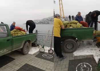 Kaçak midye avcılarına operasyon