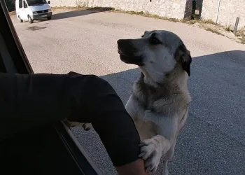 İnsanın içini ısıtan buluşma