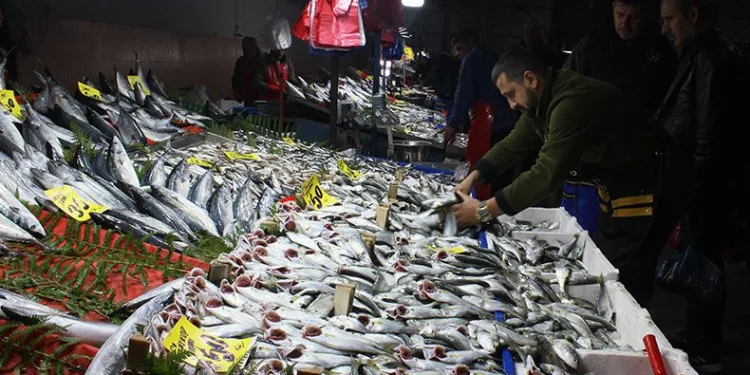 Hava soğudu, ‘çinekop’ bereketi yaşandı