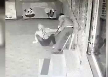Sakar hırsızlar böyle görüntülendi