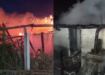 Baraj kenarındaki bağ evi alev alev yandı