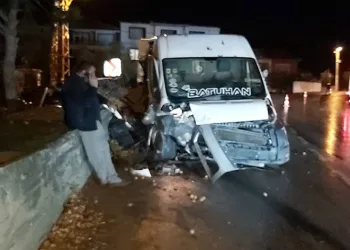 Kivi dolu minibüs kazayaptı