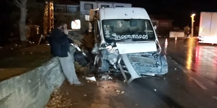 Kivi dolu minibüs kazayaptı