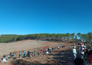 Harmancık’ta 1000 fidan toprakla buluşturuldu