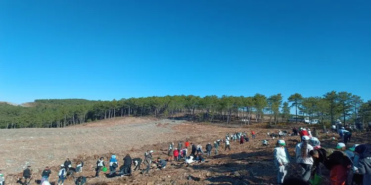 Harmancık’ta 1000 fidan toprakla buluşturuldu