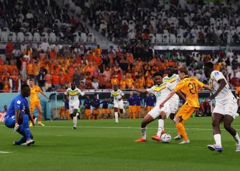 2022 Dünya Kupası: Senegal: 0 – Hollanda: 2
