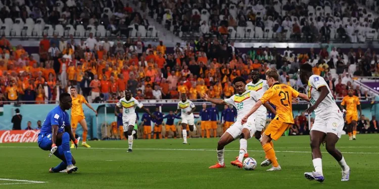 2022 Dünya Kupası: Senegal: 0 – Hollanda: 2