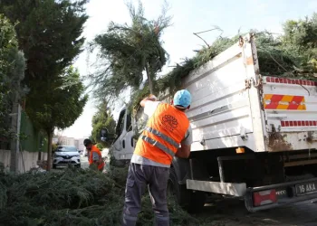 Nilüfer’de bahçe ve budama atıkları kompost oluyor