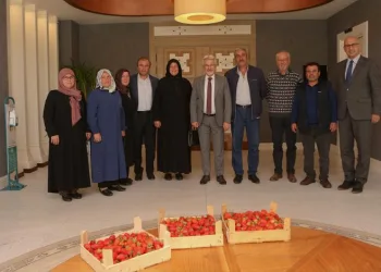 Çilek üreticisi kadınlara tam destek