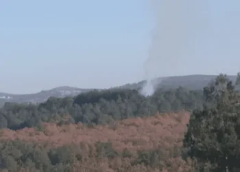 Harmancık’ta çıkan orman yangını kontrol altına alındı