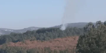 Harmancık’ta çıkan orman yangını kontrol altına alındı