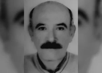 Amasya’da ceviz ağacından düşen şahıs hayatını kaybetti