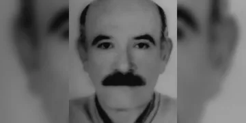 Amasya’da ceviz ağacından düşen şahıs hayatını kaybetti