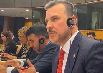 Esgin, AB Parlamentosunda önemli mesajlar verdi