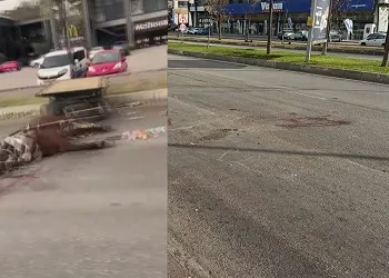 Dört nala ölüme böyle koştu