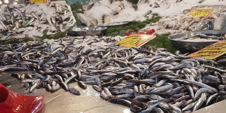 Hamsi tezgahlardaki yerini aldı