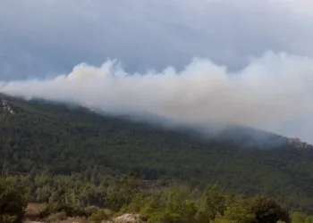 İzmir’de iki ilçede orman yangını