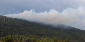 İzmir’de iki ilçede orman yangını