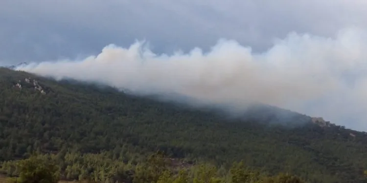 İzmir’de iki ilçede orman yangını