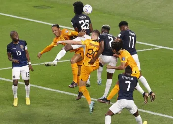 Dünya Kupası: Hollanda:1 – Ekvador:1