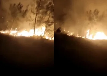 Bursa’da ormanlık alanda korkutan yangın