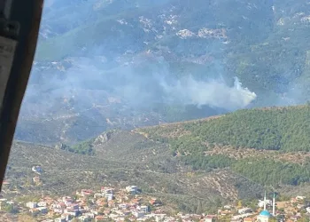 Kazdağları’nda orman yangını