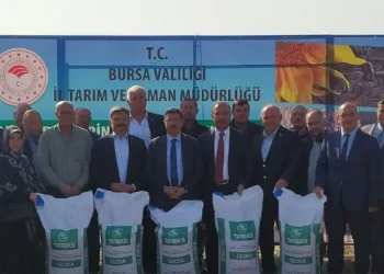Mudanya’da çiftçilere buğday tohumu dağıtılıyor