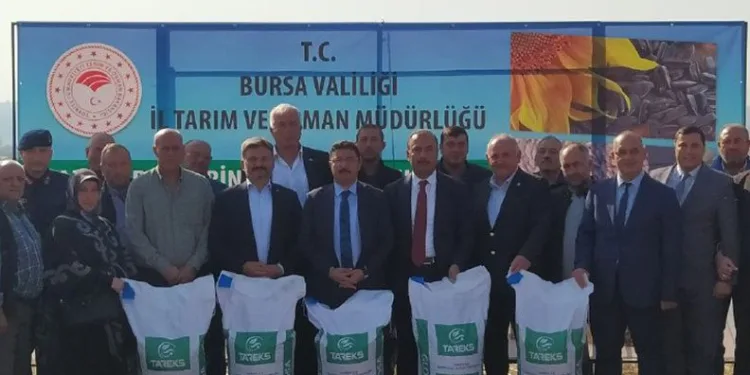 Mudanya’da çiftçilere buğday tohumu dağıtılıyor
