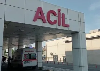 Düğünü seyrederken oğluyla maganda kurbanı oldu