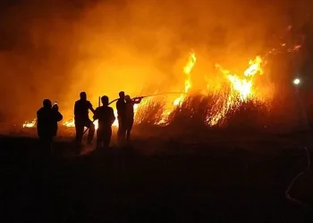 Milleyha Kuş Cenneti’nde yangın