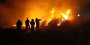Milleyha Kuş Cenneti’nde yangın