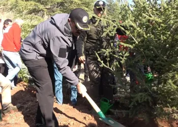 Maden şehitlerinin isimleri fidanlarda yaşayacak