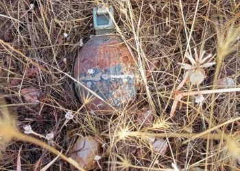 Bingöl’de el bombası ve mayın imha edildi