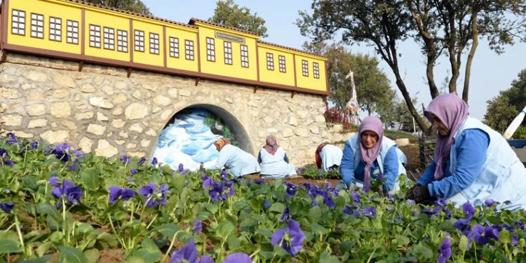 Macera Bursa’da kış çiçekleri açıyor