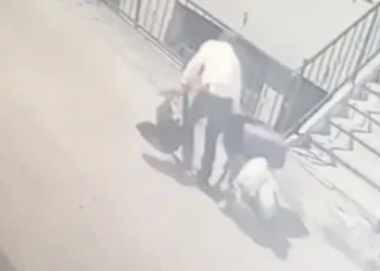 Bursa’da pazar arabasıyla ayakkabı hırsızlığı