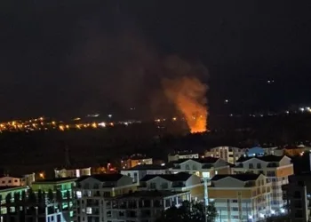 Bursa’da ormanlık alanda korkutan yangın