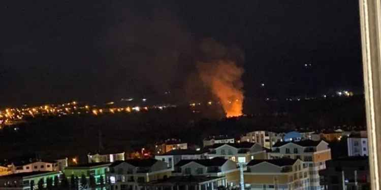 Bursa’da ormanlık alanda korkutan yangın