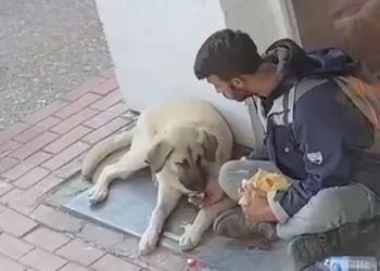 Yemeğini sokak köpeğiyle paylaşan genç viral oldu