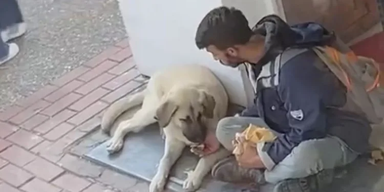 Yemeğini sokak köpeğiyle paylaşan genç viral oldu