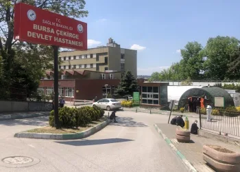 53 yaşındaki kadın 5 hastaya umut oldu
